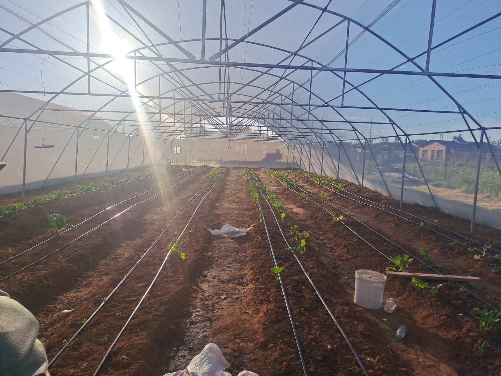 Our growing operation